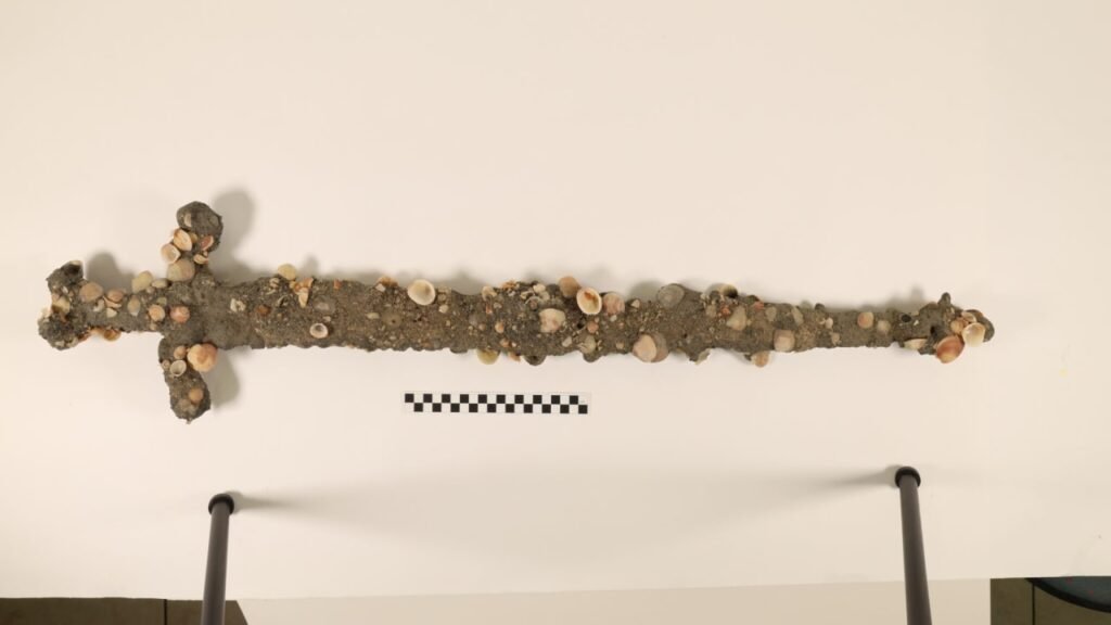 Amateur diver finds Crusader-era sword near Israel’s shorel
